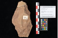 Foto (Objekt + Etikett) von Myrica lignitum Unger (NHMW-GEO-2024-0188-0654)